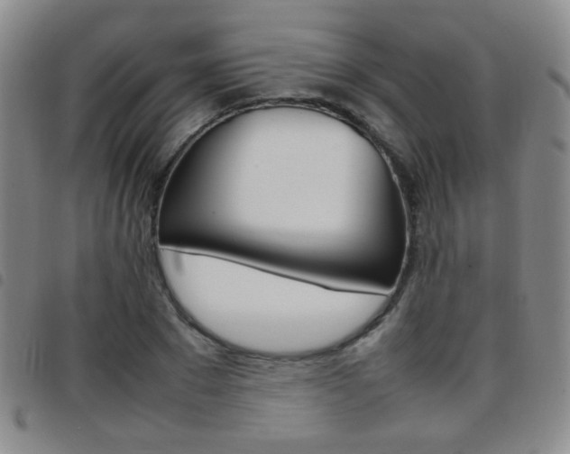 X0000097920881200803141028
