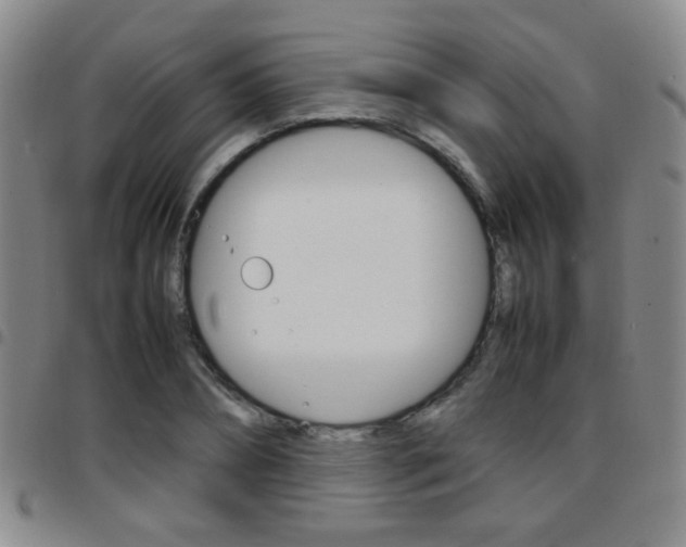 X0000097920882200803141028