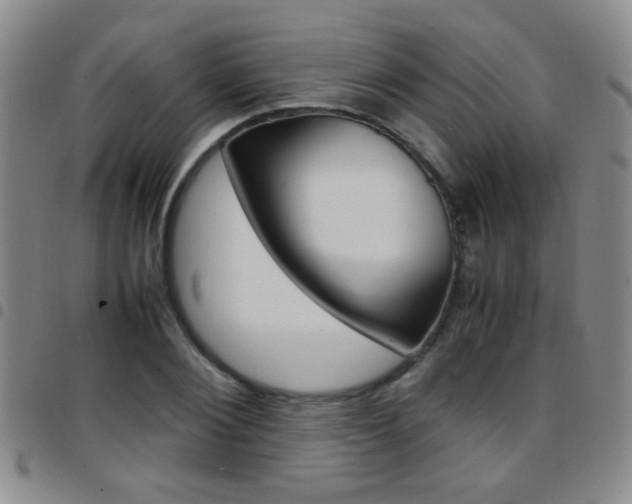 X0000097920884200803141028