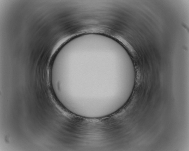X0000097920886200803141028