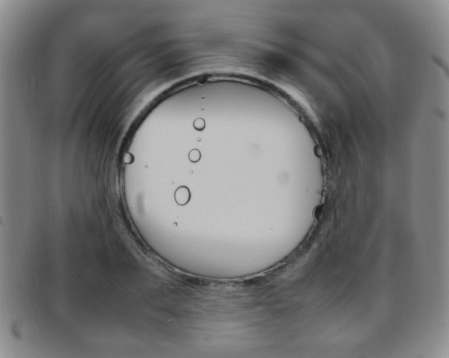 X0000097920887200803141028