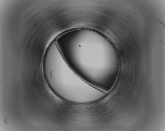 X0000097920888200803141028