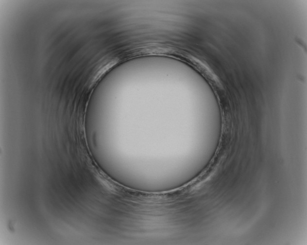 X0000097920889200803141028