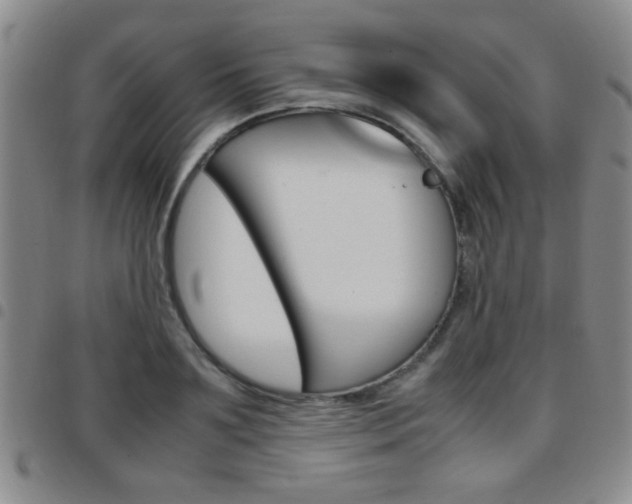 X0000097920891200803141028