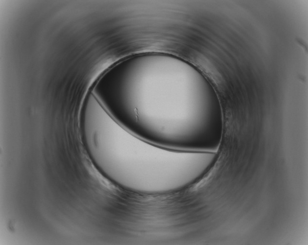 X0000097920892200803141028