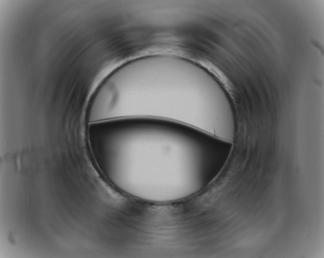 X0000097920894200803141028