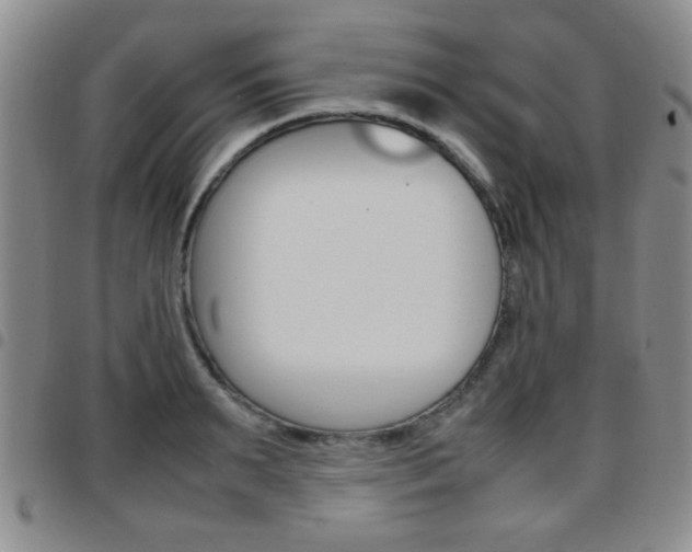 X0000097920895200803141028