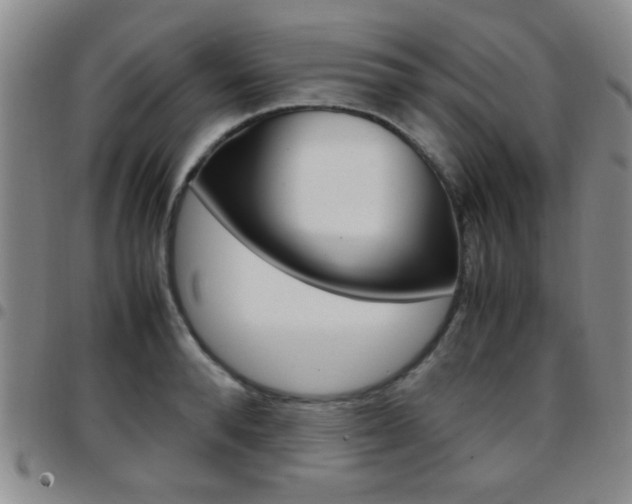 X0000097920896200803141028