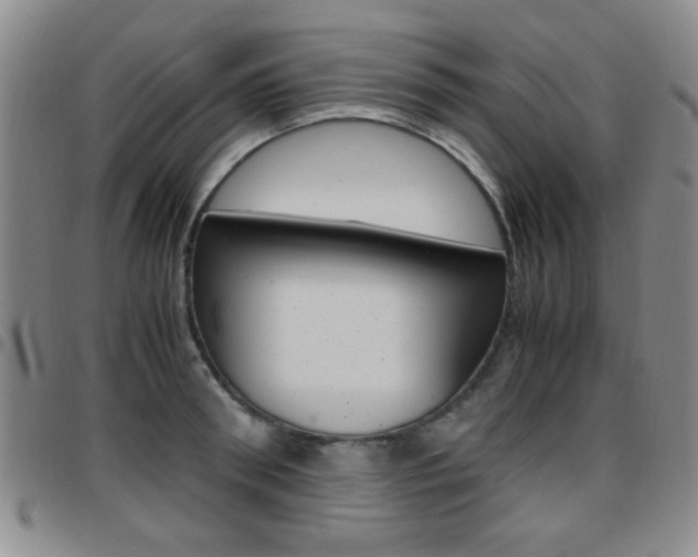 X0000097920898200803141028