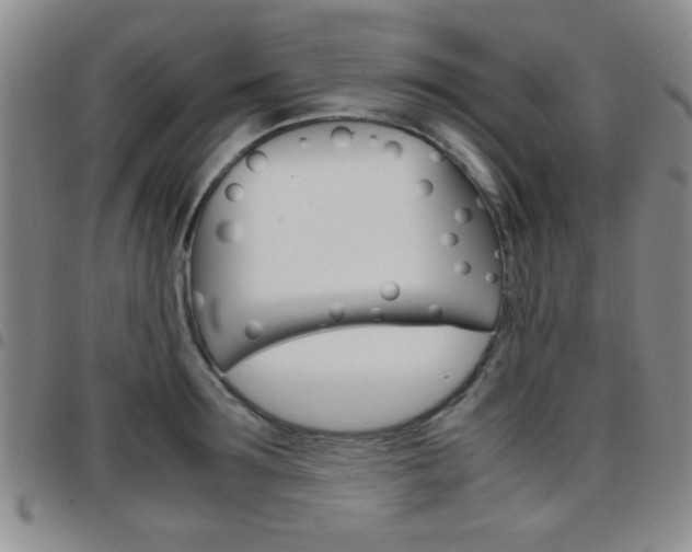 X0000097920899200803141028