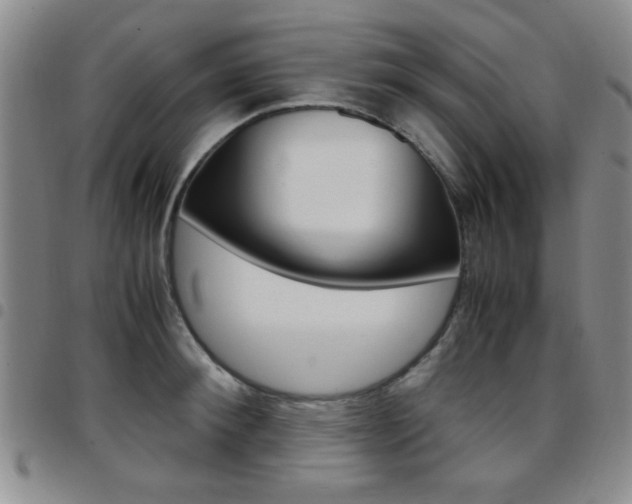 X0000097920900200803141028