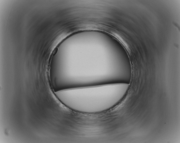 X0000097920901200803141028