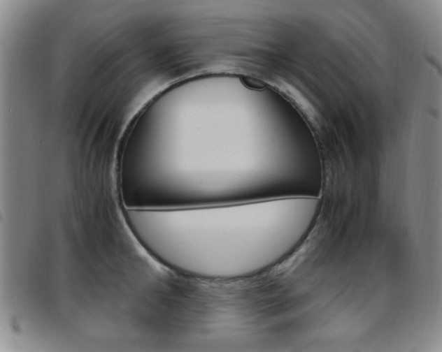 X0000097920902200803141028