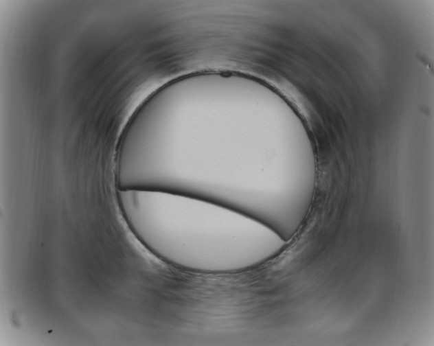X0000097920903200803141028