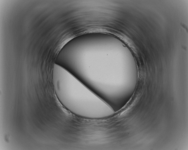 X0000097920905200803141028