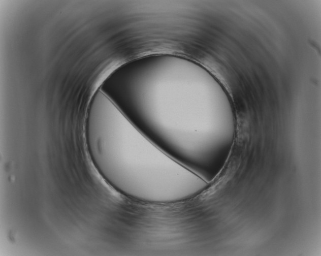 X0000097920906200803141028