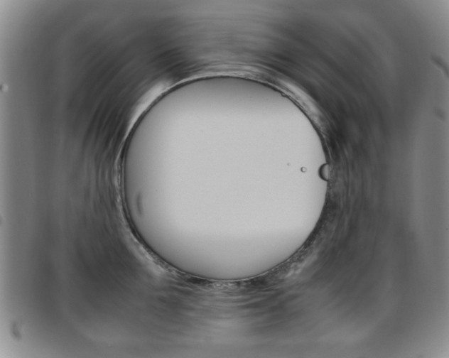 X0000097920907200803141028