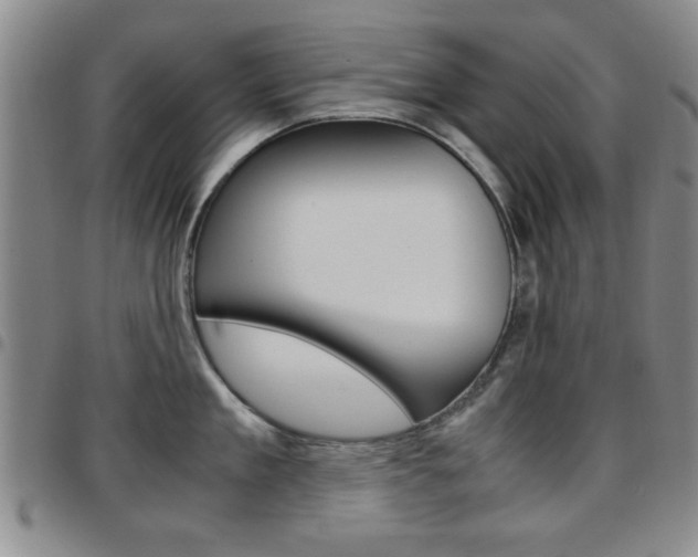 X0000097920909200803141028