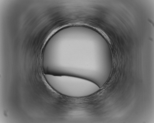 X0000097920911200803141028
