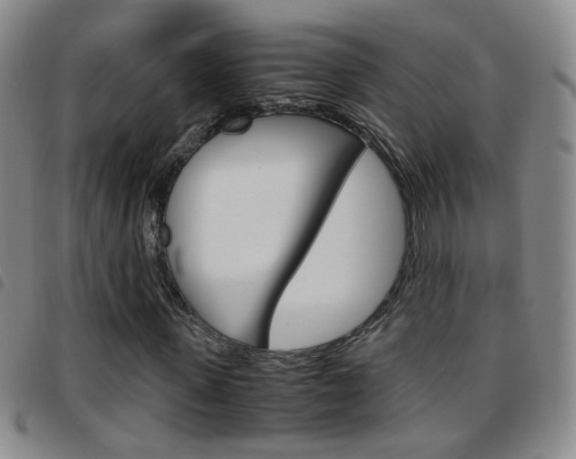 X0000097920915200803141027