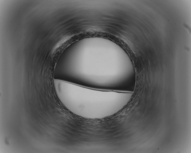 X0000097920919200803141027