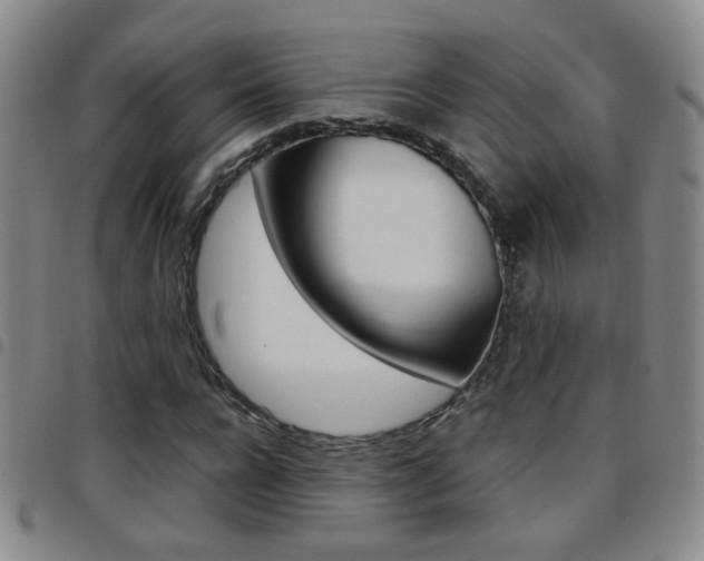 X0000097920920200803141027