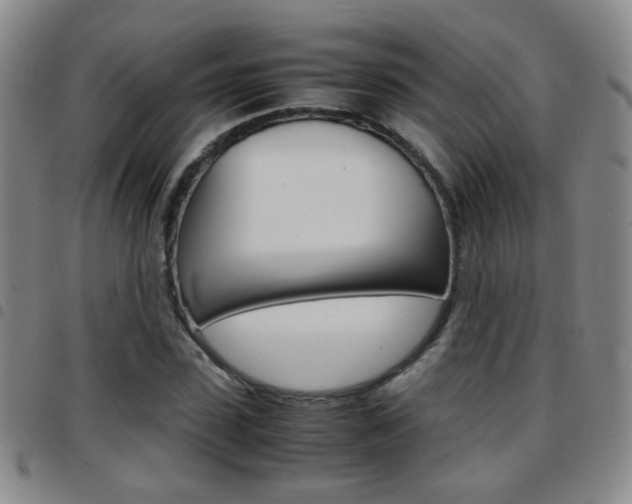 X0000097920923200803141027