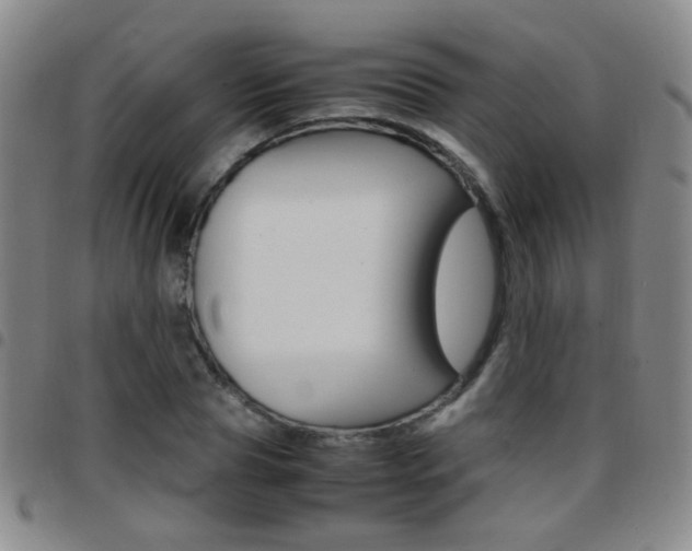 X0000097920929200803141027