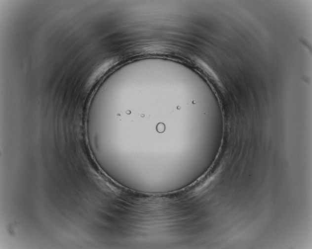X0000097920930200803141027