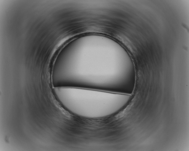 X0000097920931200803141027