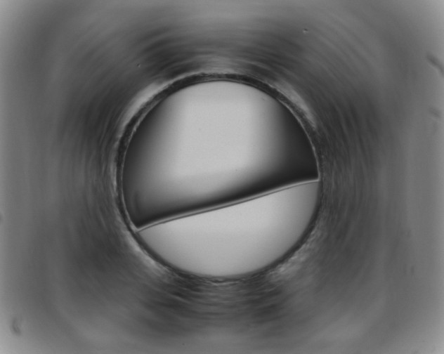 X0000097920935200803141027