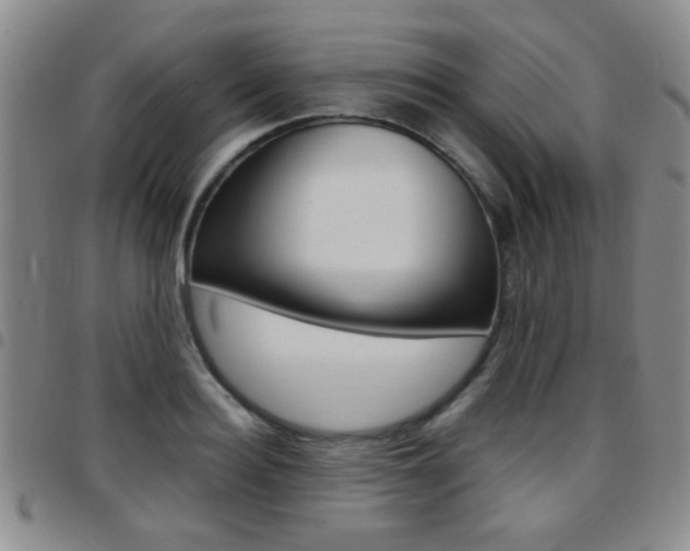 X0000097920940200803141028