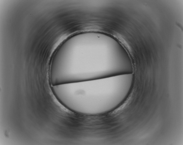 X0000097920941200803141028