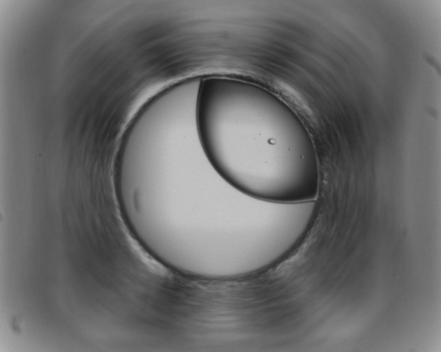 X0000097920942200803141028