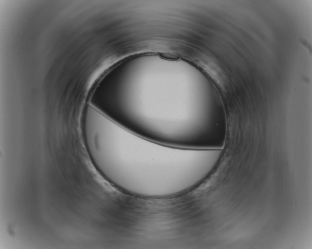 X0000097920944200803141028