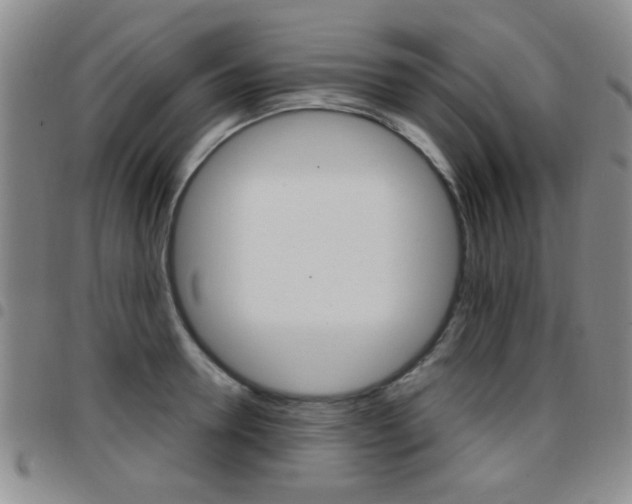 X0000097920946200803141028