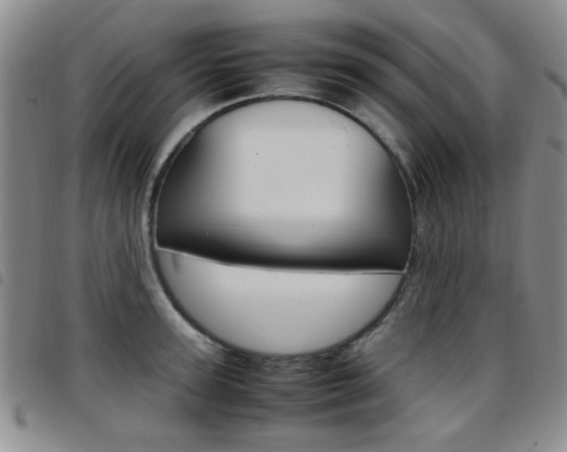 X0000097920947200803141028