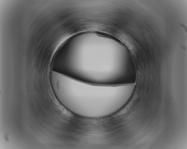 X0000097920948200803141028