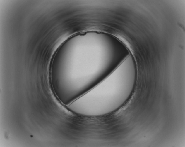X0000097920949200803141028
