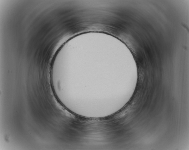 X0000097920950200803141028