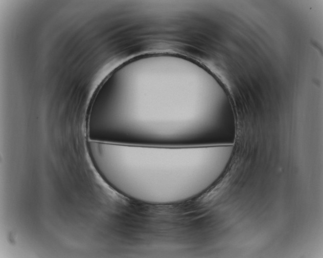 X0000097920951200803141028
