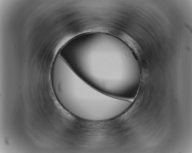 X0000097920952200803141028