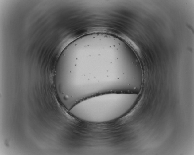 X0000097920953200803141028