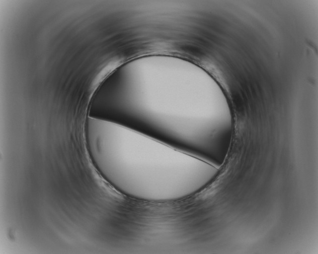 X0000097920954200803141028