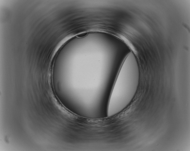 X0000097920955200803141028