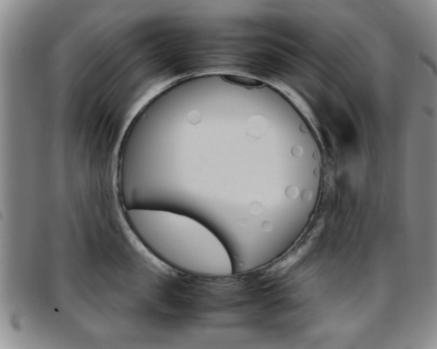 X0000097920957200803141028