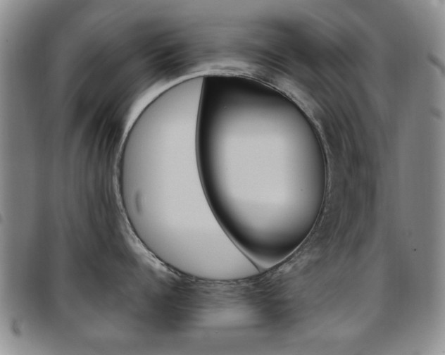 X0000097920960200803141028