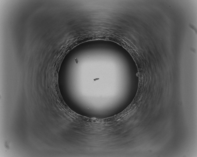 X0000097920961200803141027
