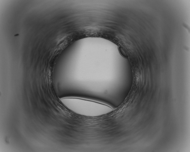 X0000097920964200803141027