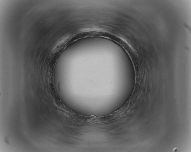 X0000097920967200803141027